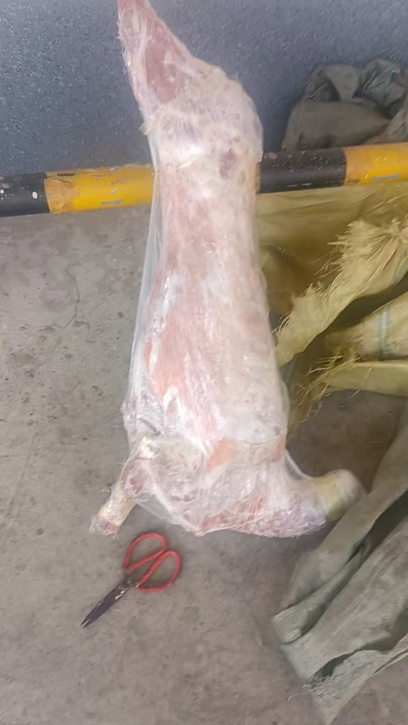 厂家直销净堂山羊胴体