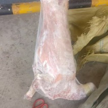 厂家直销净堂山羊胴体