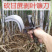 甘蔗剥叶刀新款推叶农用刀具家用砍收锋利加厚锰钢锻打