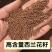 西兰花种子高含量提取西兰花芽苗菜种子批发