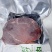 鹿精肉鹿肉一斤装精品鹿肉吉林鹿乡东北特产鹿煎肉排
