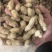 黑花生果