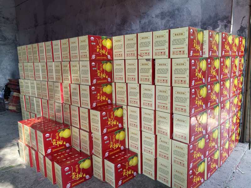 黄金贡柚冷库果，产地直发，品质保证，服务周到，诚信经营