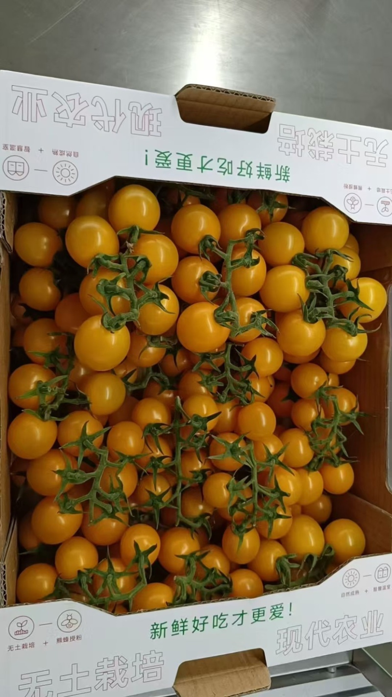 黄串引爆市场，定制包装，全国发货，总有一款合适你
