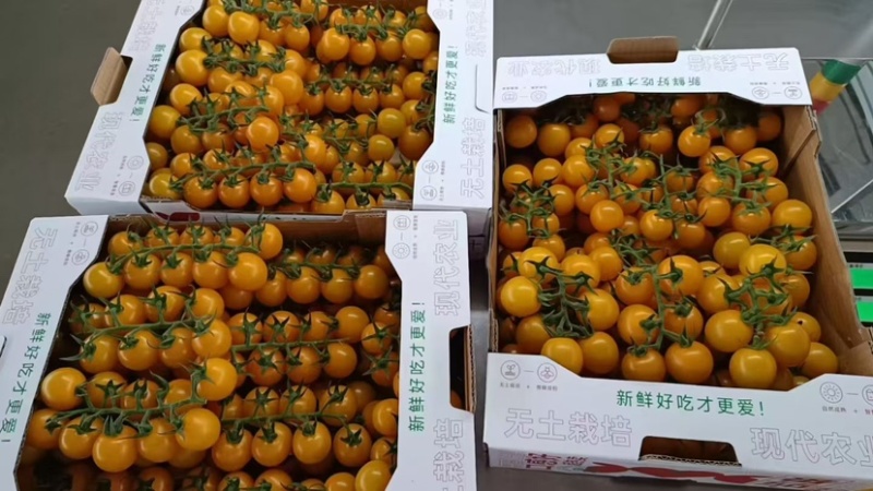 黄串引爆市场，定制包装，全国发货，总有一款合适你