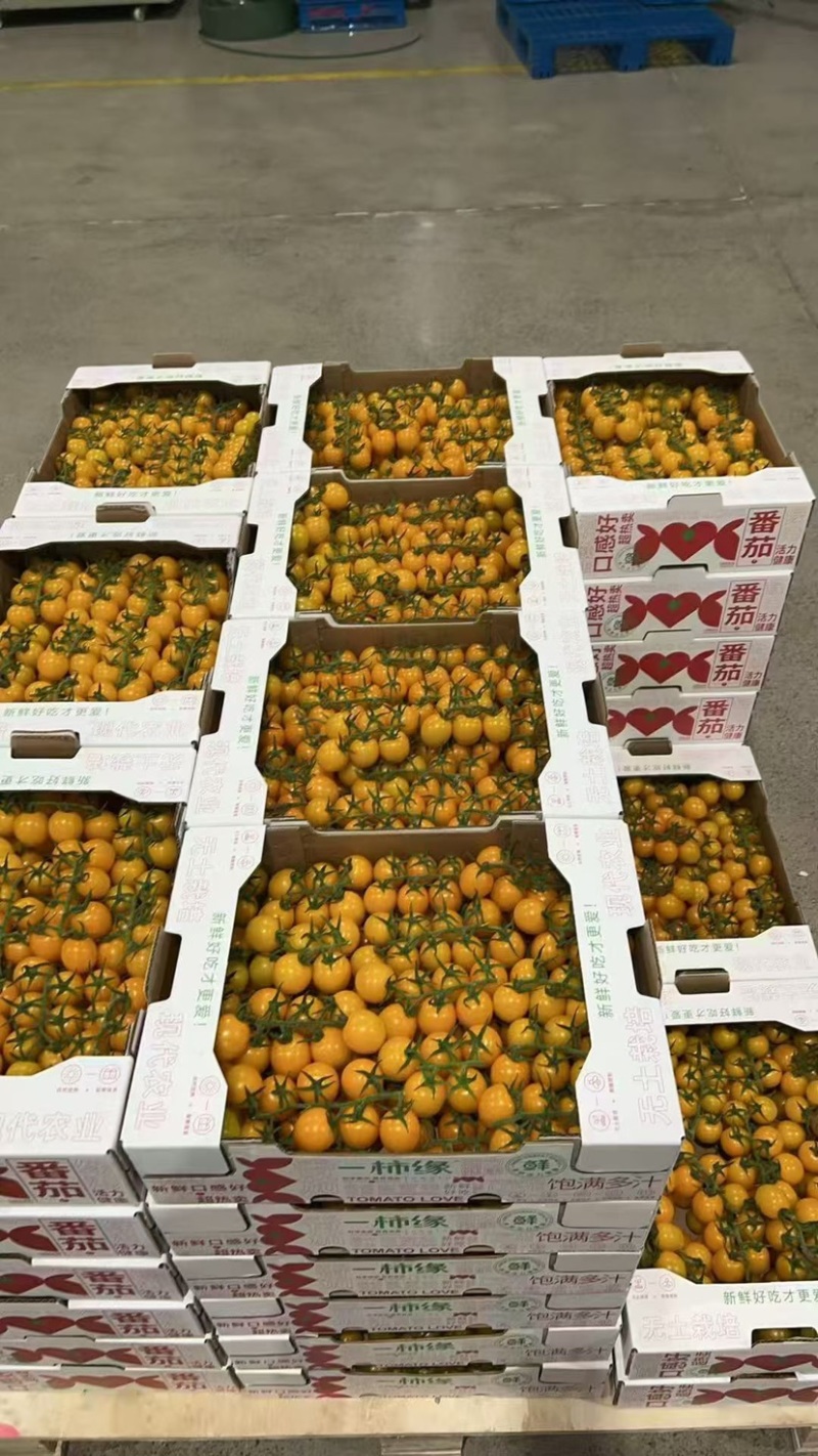 黄串引爆市场，定制包装，全国发货，总有一款合适你