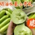 早春越冬嫁接奶油黄瓜苗连作无忧亩产可观农户优选