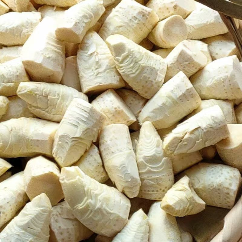 冬笋、冬季大自然里生长的美食、即能吃又是送礼的佳品