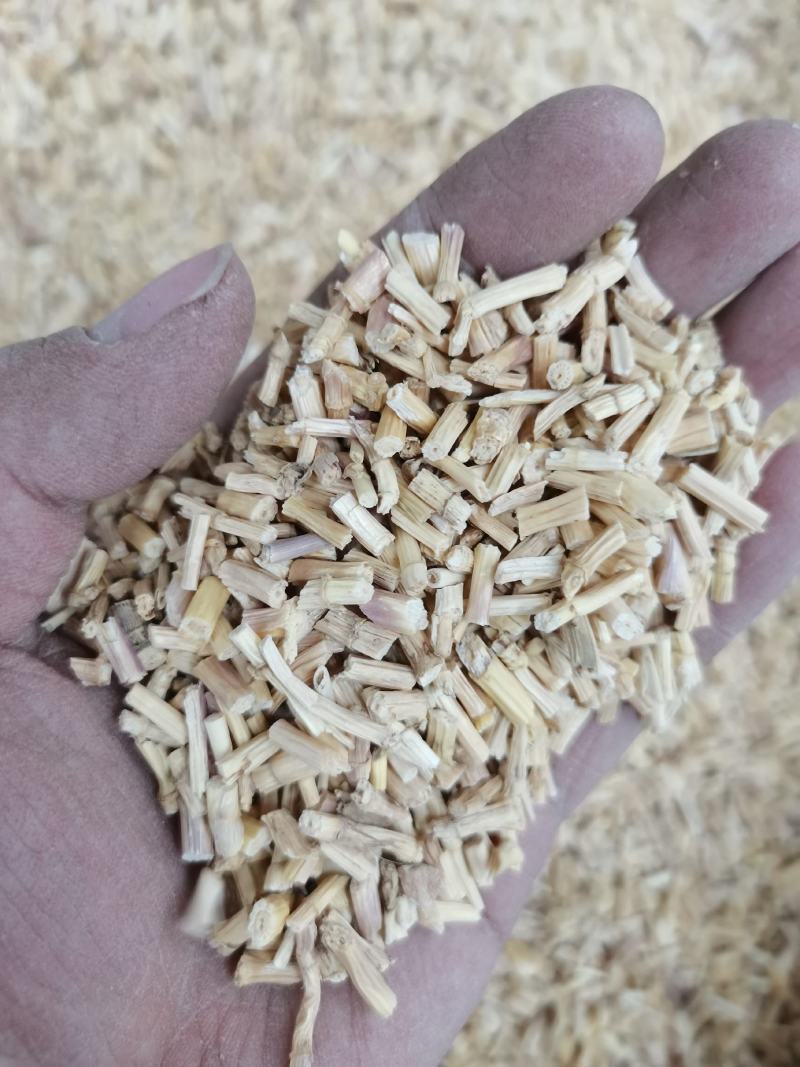 中药材白茅根长段短段片各种规格保质保量批发零售