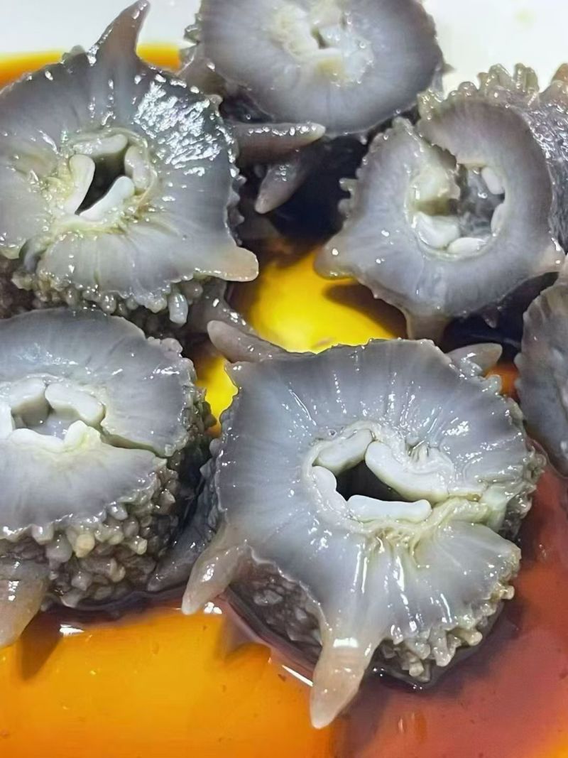 即食海参团购商贸批发市场均可可溯源根据要求定制