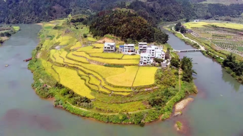 龙胜县地灵红糯