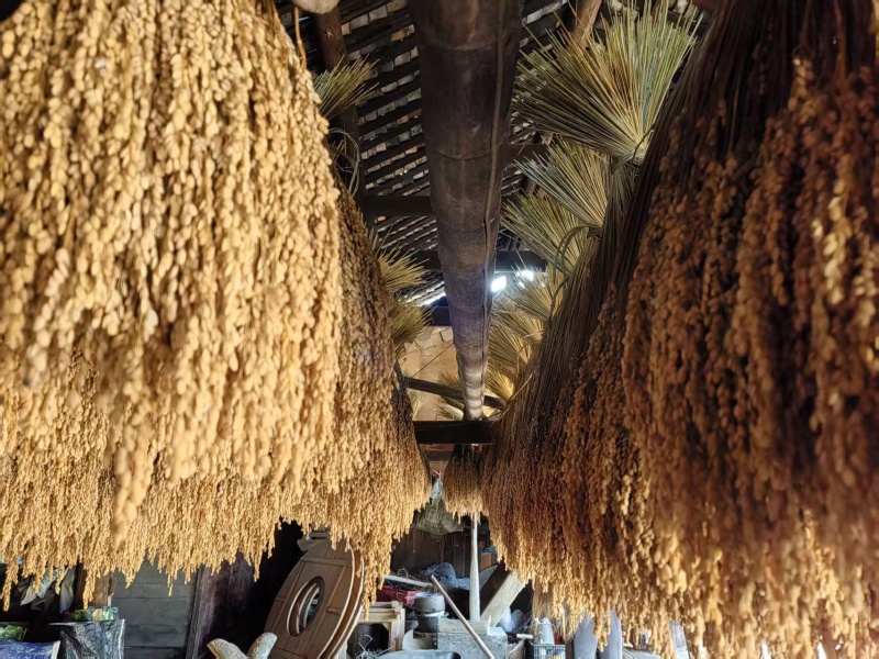 龙胜县地灵红糯
