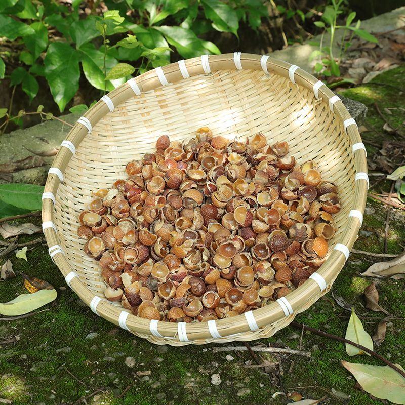 中药材无患子洗手果肥皂果皮各种规格保质保量批发零售