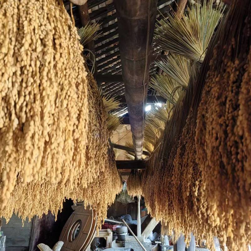 龙胜县地灵红糯