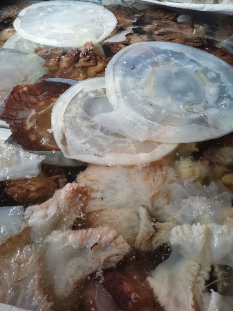 海蜇，头，皮子齐全，一手货源，货源充足，春节临近，欢