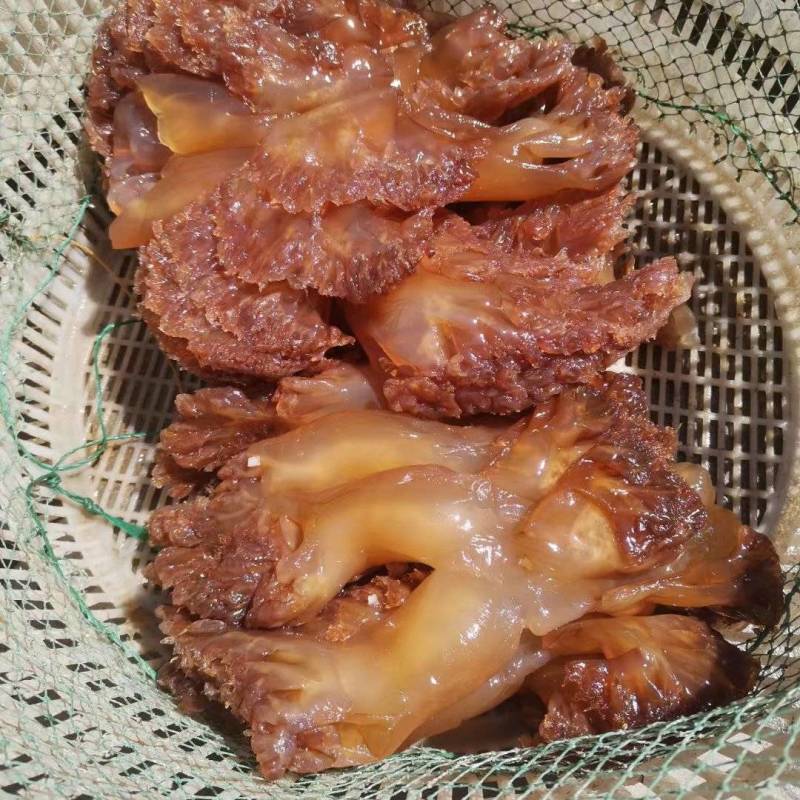 海蜇，头，皮子齐全，一手货源，货源充足，春节临近，欢