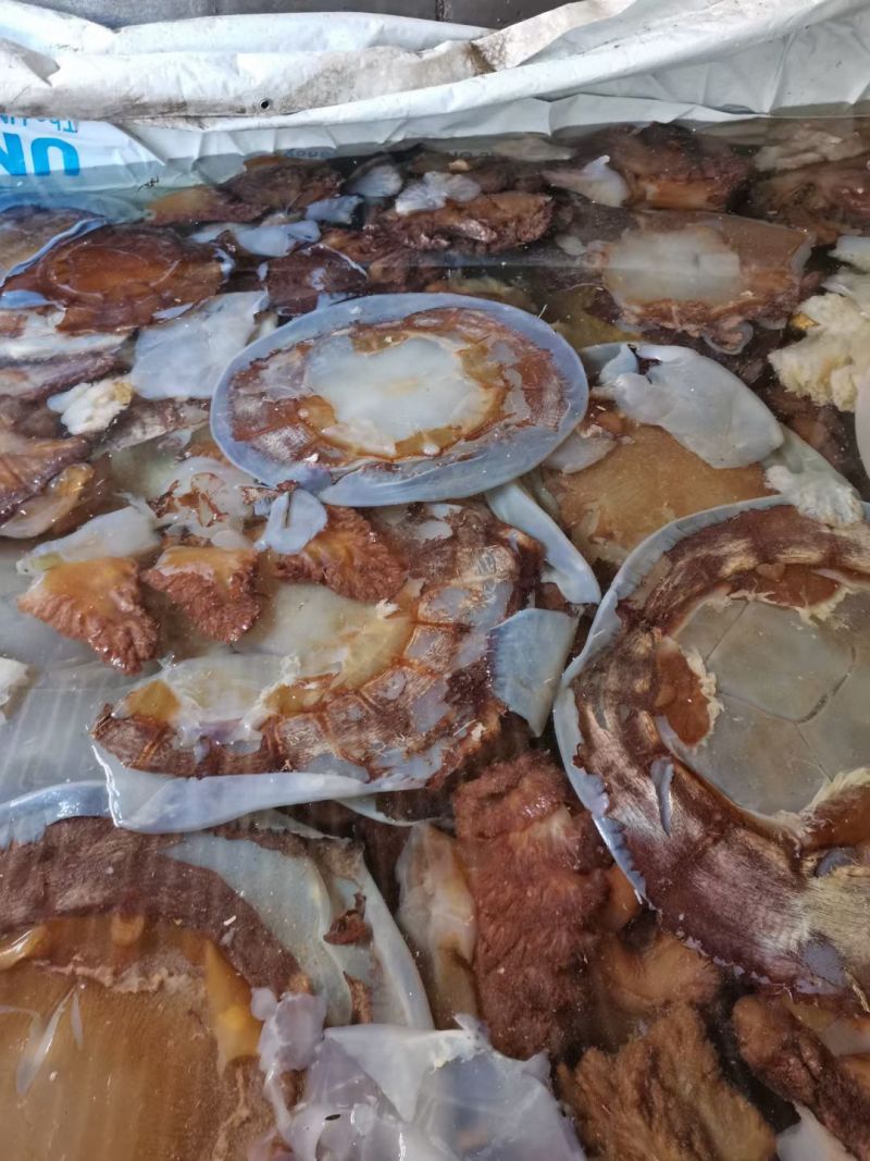海蜇，头，皮子齐全，一手货源，货源充足，春节临近，欢