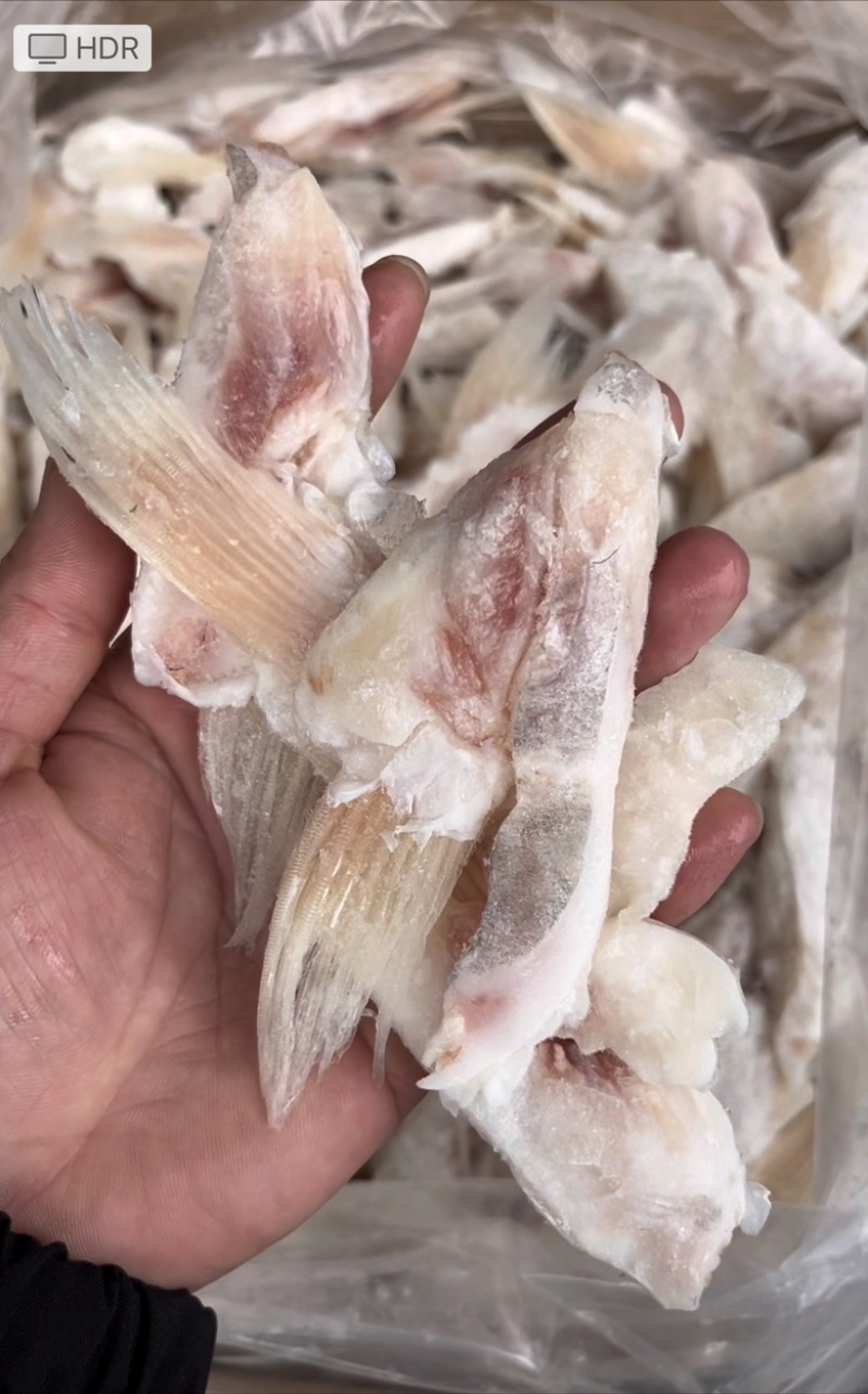 脆肉皖鱼尾，鱼翅