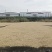 优质谷米，粳香优甜丝