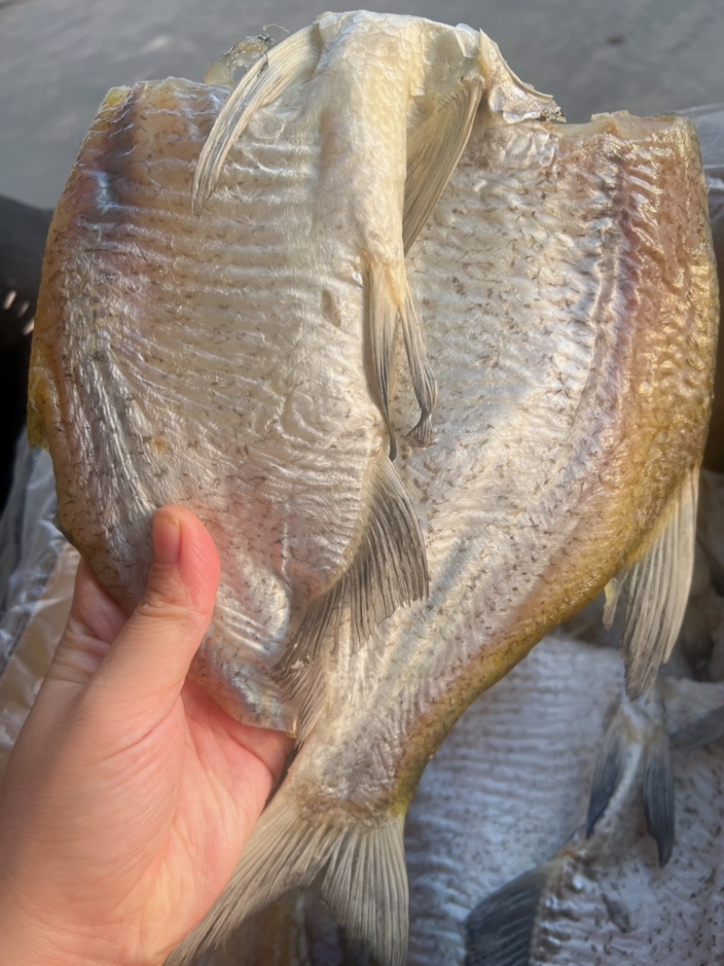 开边鳊鱼地摊电商批发开边鳊鱼无头鱼干干鱼