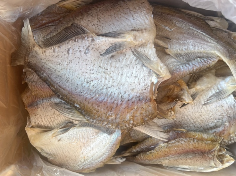开边鳊鱼地摊电商批发开边鳊鱼无头鱼干干鱼