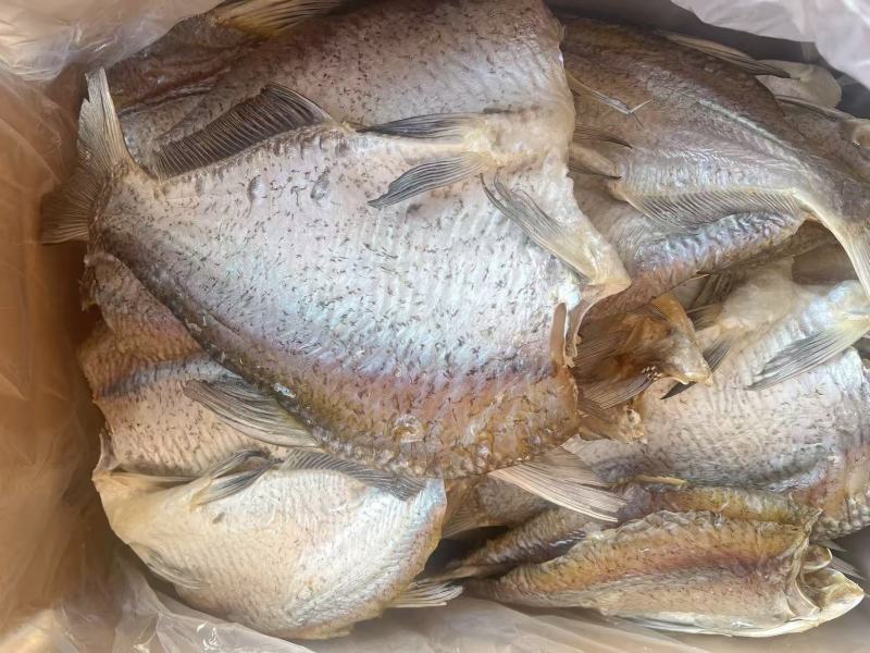 开边鳊鱼地摊电商批发开边鳊鱼无头鱼干干鱼