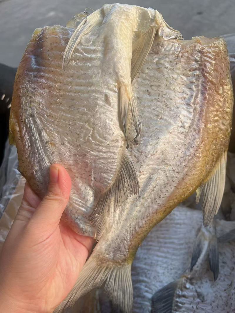 开边鳊鱼地摊电商批发开边鳊鱼无头鱼干干鱼