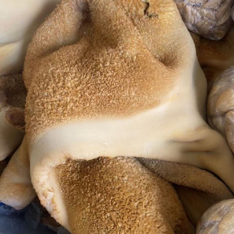熟牛肚，五香味熟牛肚，长期有货，量大从优。