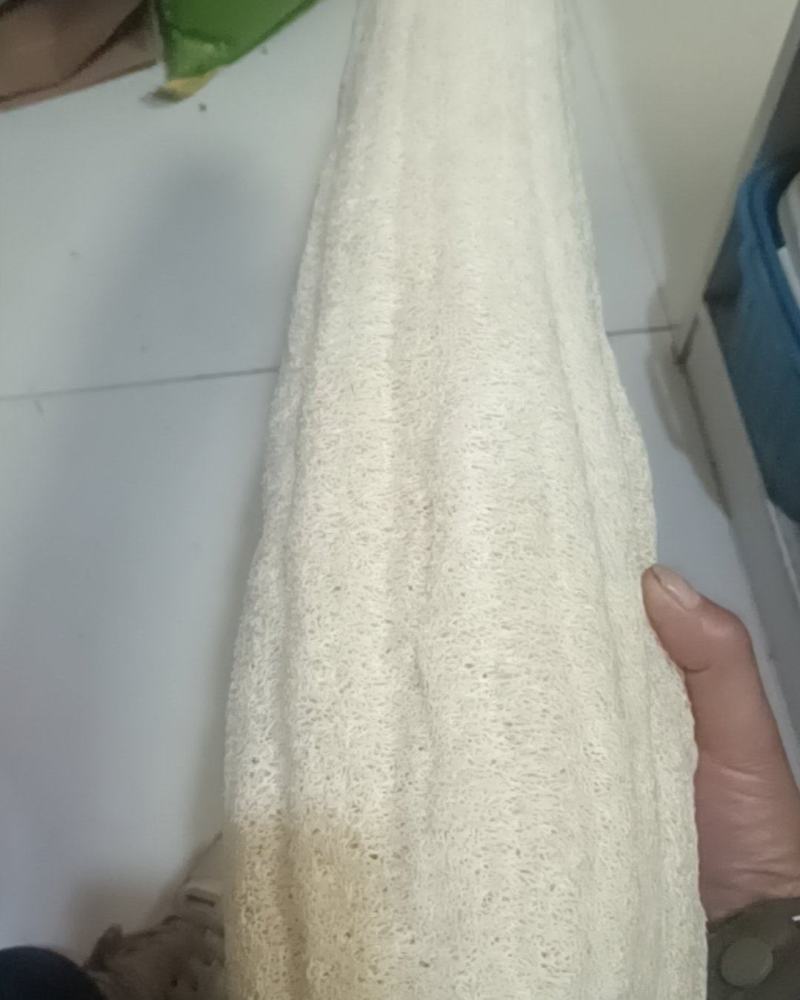 丝瓜络