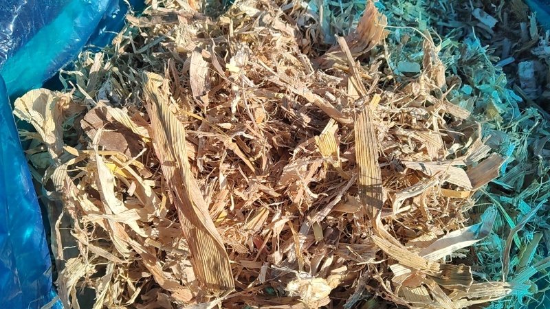 牛羊精品饲草