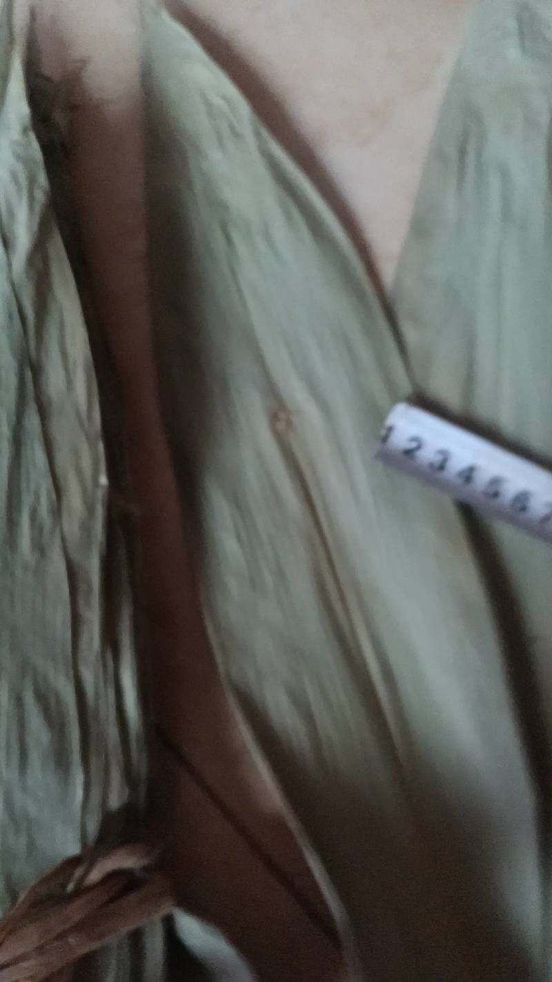 新鲜干粽叶