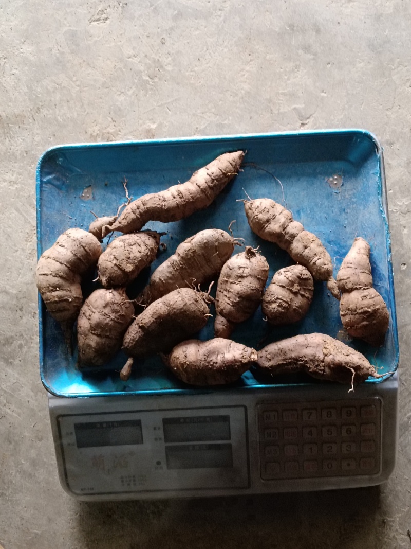 三叶青鲜货