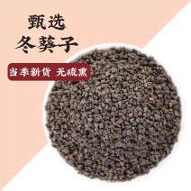 冬葵子中药材冬葵籽特级冬葵子籽精选新货冬葵子药材
