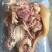 熟牛头肉，诚信商家牛头肉全国供应现货秒发电话咨询