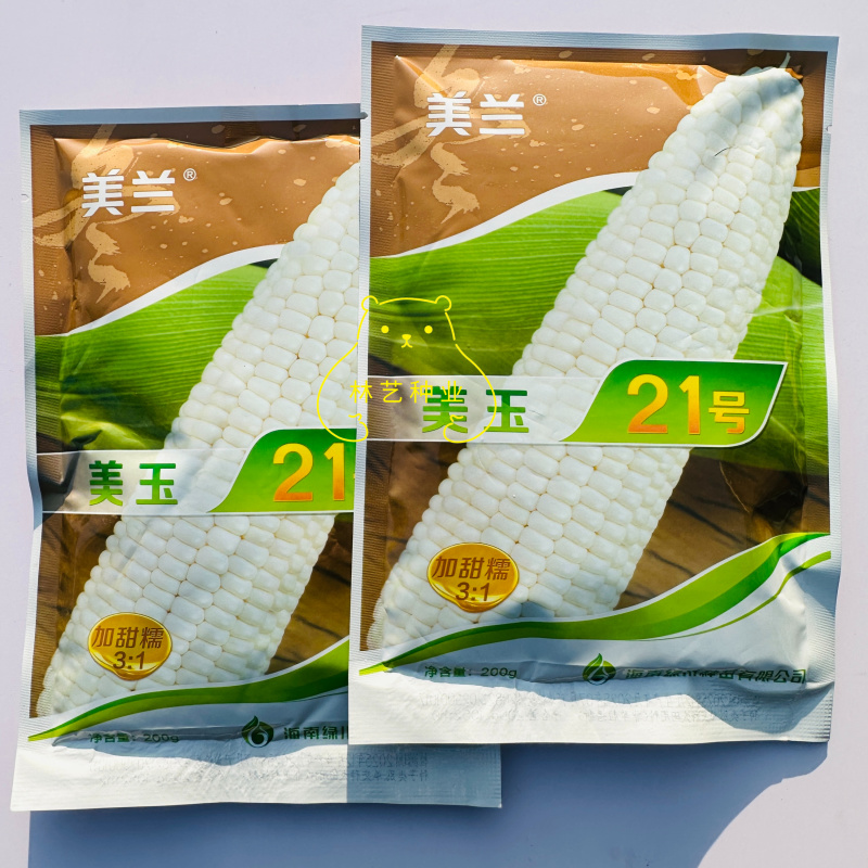 美玉21号白甜糯玉米种子春秋高产大棒型鲜食糯玉米香甜粘苞