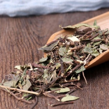 络石藤中药材石屯爬墙虎络石草野生中药材络石藤