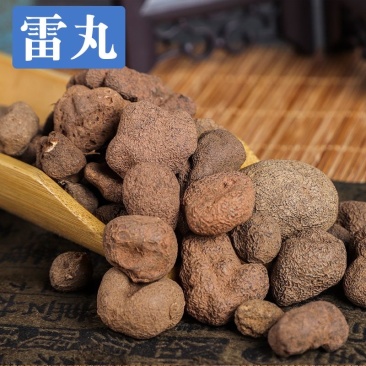 中药材雷丸正品竹芩精选木连子无硫芝木雷实