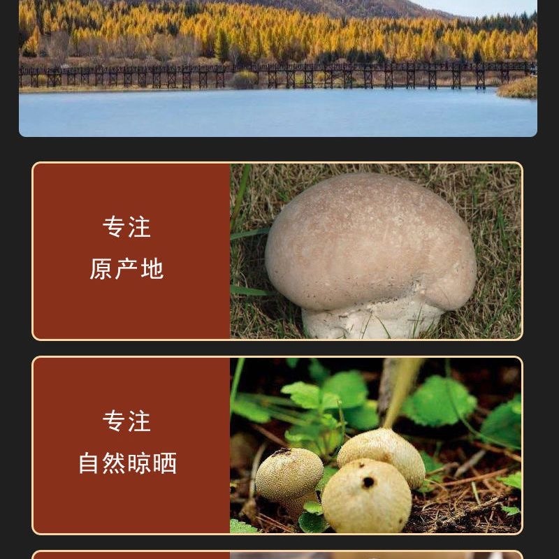 马勃中药材马勃马粪包马屁包新货保质保量正品