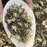 四川茉莉花茶2025新茶浓香茉莉飘雪茶叶自己喝送人都可以
