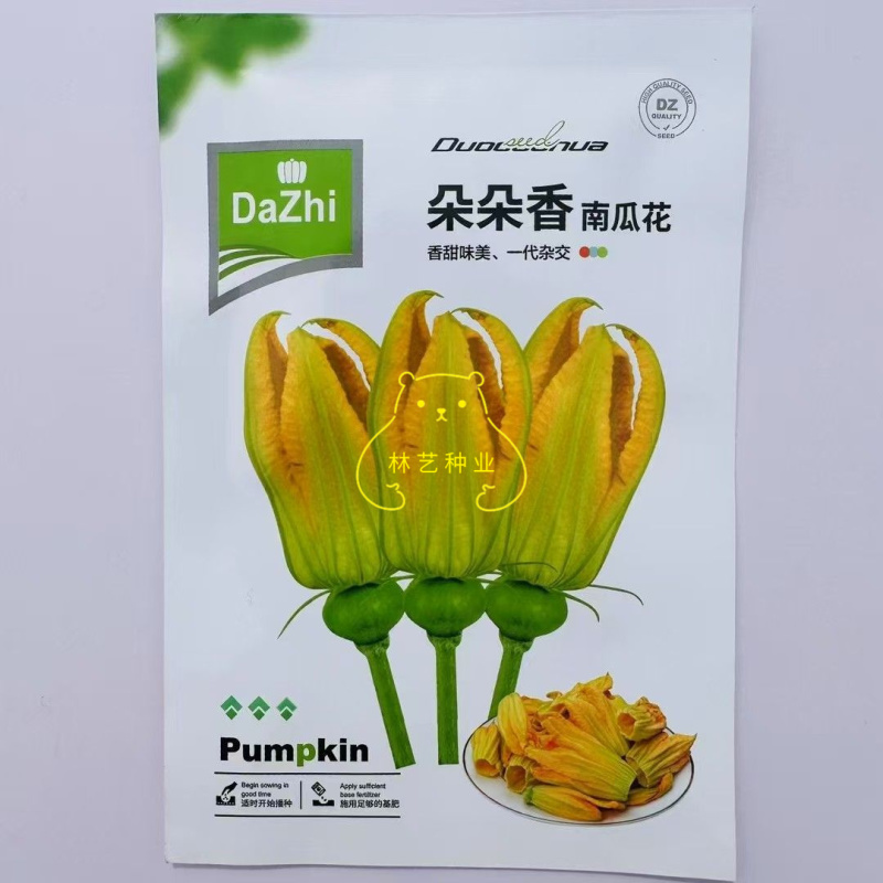 朵朵香南瓜花种子嫩南瓜菜南瓜花南瓜藤耐热夏季一年生蔬菜种