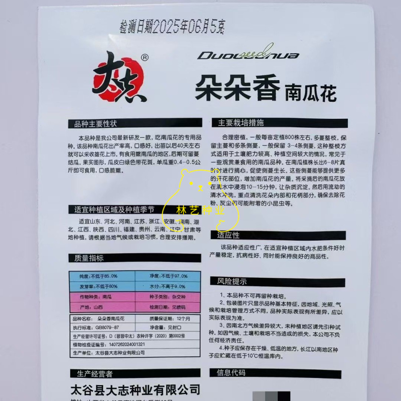 朵朵香南瓜花种子嫩南瓜菜南瓜花南瓜藤耐热夏季一年生蔬菜种