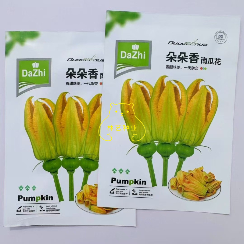 朵朵香南瓜花种子嫩南瓜菜南瓜花南瓜藤耐热夏季一年生蔬菜种