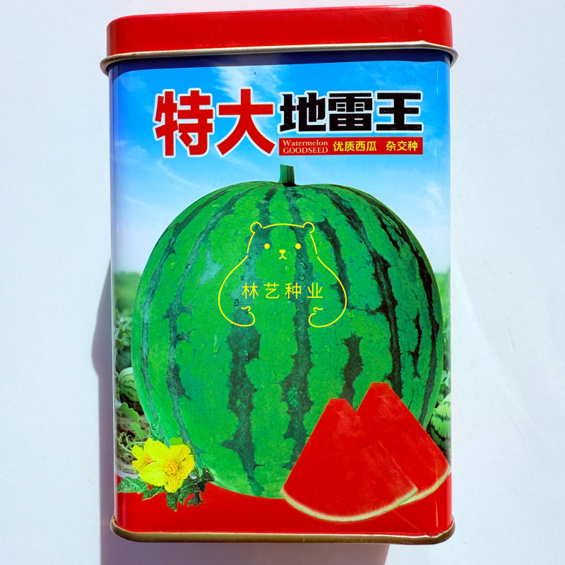 特大地雷王西瓜种子早中熟优质高产抗病耐重茬抗裂红瓤西瓜种