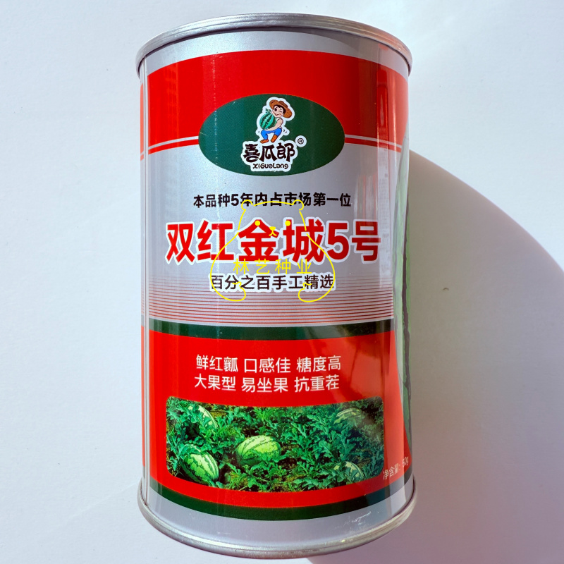 双红金城5号大西瓜中熟大果型西瓜品种鲜红瓤糖度高抗重茬耐