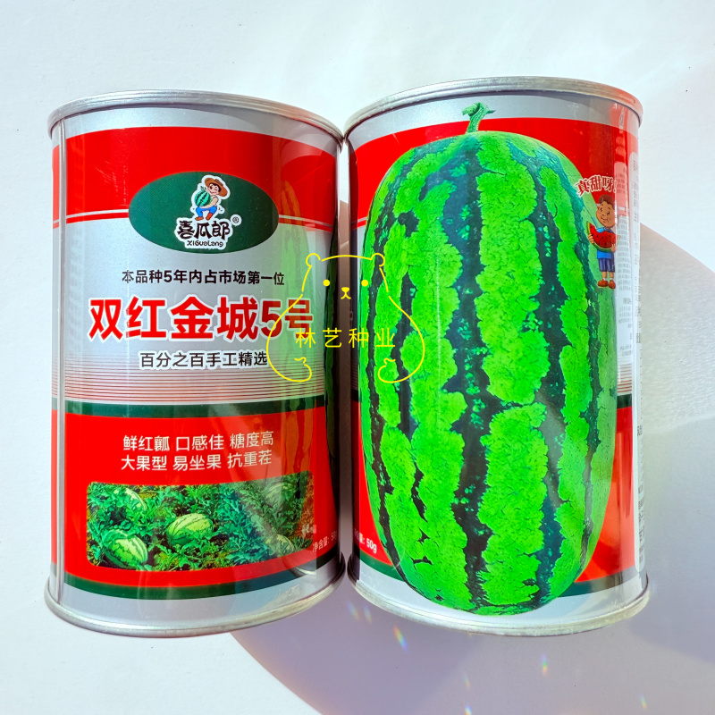 双红金城5号大西瓜中熟大果型西瓜品种鲜红瓤糖度高抗重茬耐
