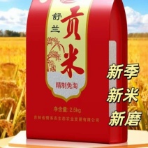 东北大米