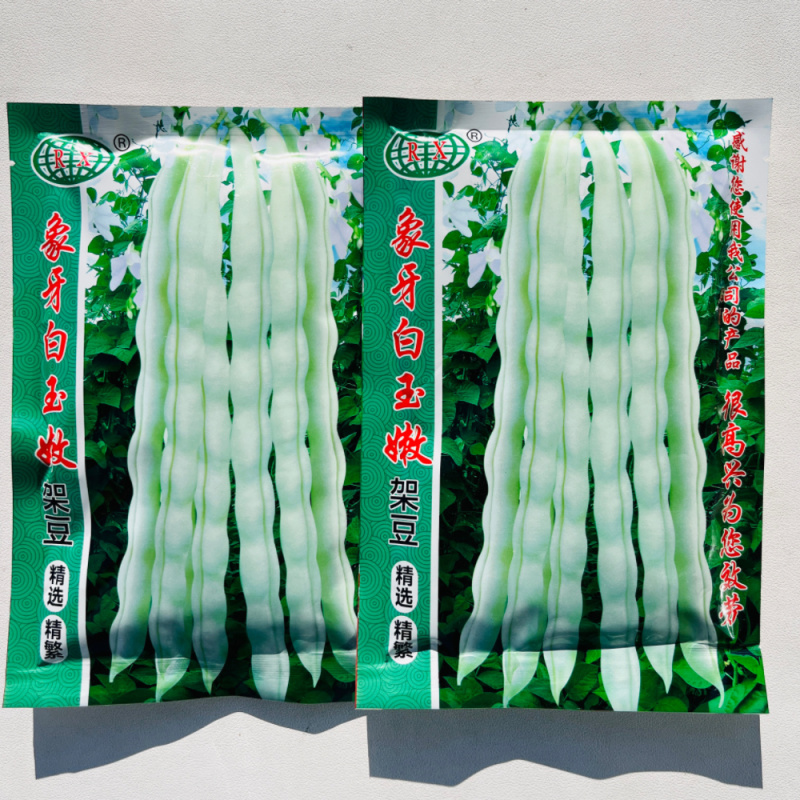 象牙白玉嫩豆角种籽早熟质嫩无纤维高产结荚多春秋播种架豆种