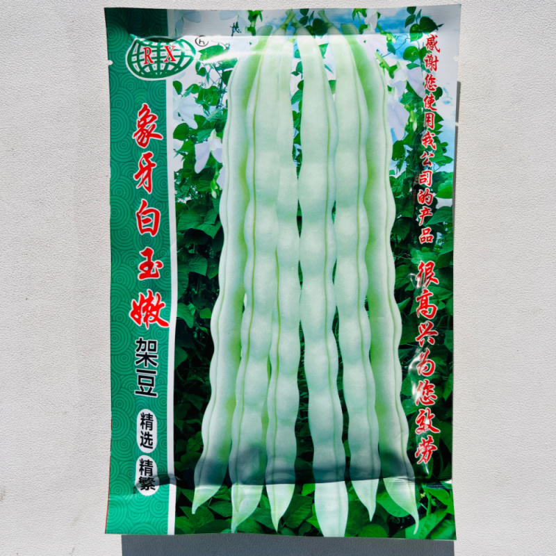 象牙白玉嫩豆角种籽早熟质嫩无纤维高产结荚多春秋播种架豆种
