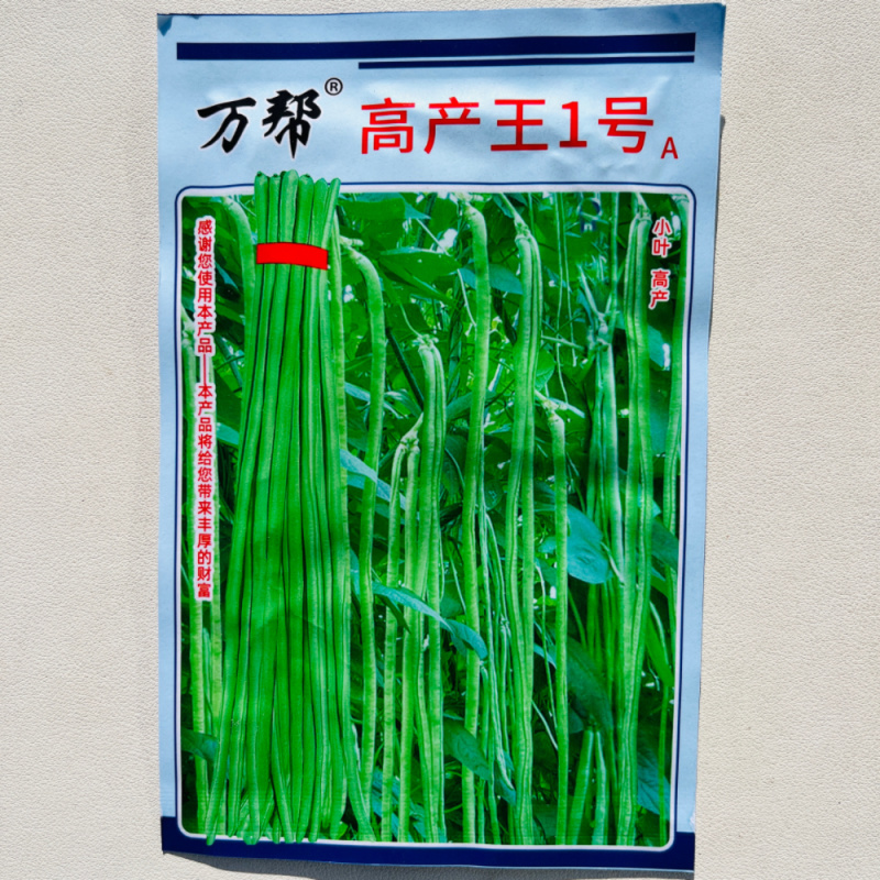 精品挂面王长豆角种籽肉厚耐老化结荚多高产豆角种子春秋播种