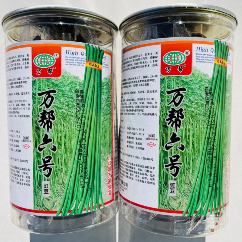 精品挂面王长豆角种籽肉厚耐老化结荚多高产豆角种子春秋播种